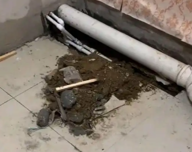 镜湖卫生间漏水检测哪家好